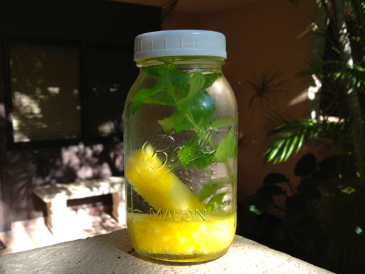 1-pineapple-mint-infused-water